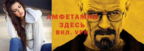 молекула духа Костерёво