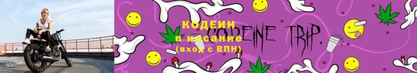 молекула духа Костерёво