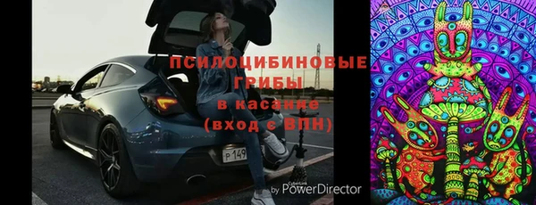 молекула духа Костерёво
