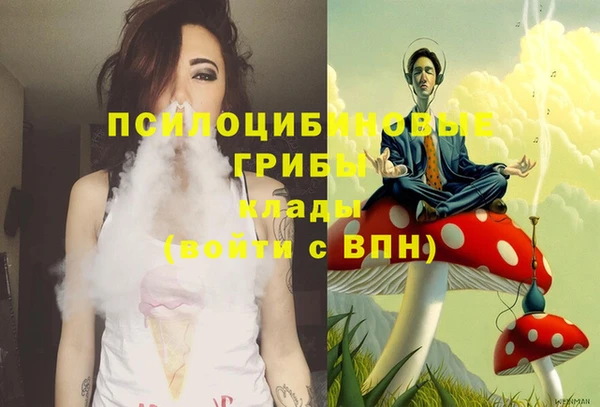 молекула духа Костерёво