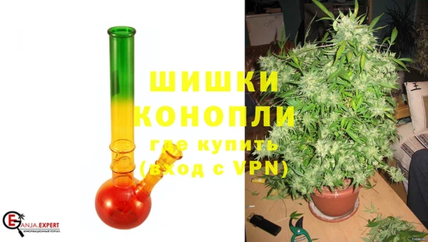 молекула духа Костерёво